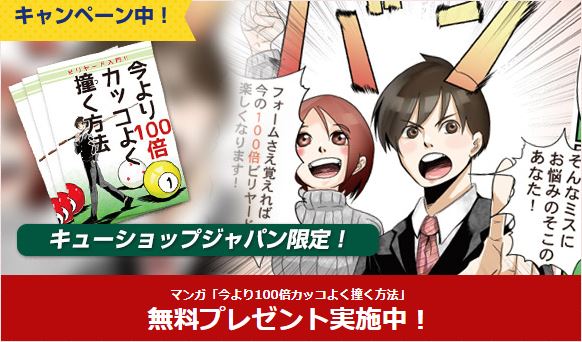  ビリヤード 入門セット 初心者向け (Dufferin/DUF-539) [キュー、ケース、グローブ、チョーク他 初心者でもすぐに始められる全7点セット！]